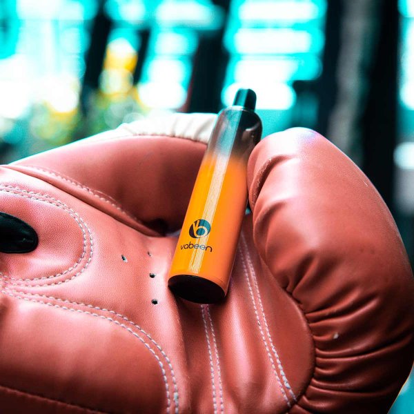 Life with Plum Disposable Vape 