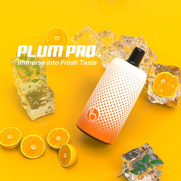 plum pro